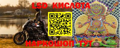 ПСИЛОЦИБИНОВЫЕ ГРИБЫ Новозыбков