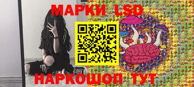 ПСИЛОЦИБИНОВЫЕ ГРИБЫ Новозыбков