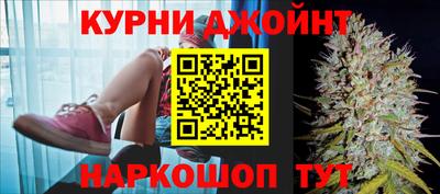 гидра Новокубанск